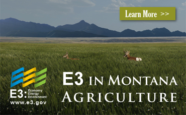 E3 in Montana Agriculture
